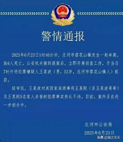 庄河最新事件爆料信息,揭秘背后真相，引发社会关注  第3张